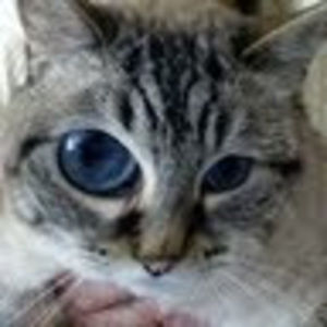 Meet your Posher, Molly